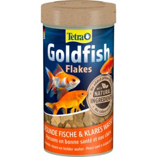 Tetra Goldfish