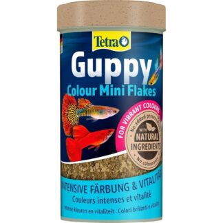 Tetra Guppy