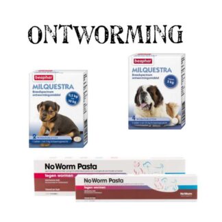 Ontworming