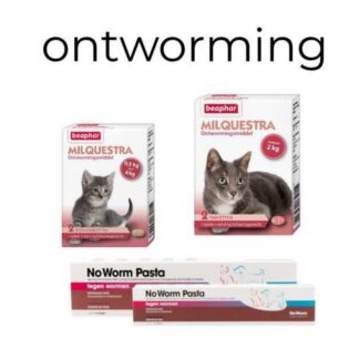 Ontworming