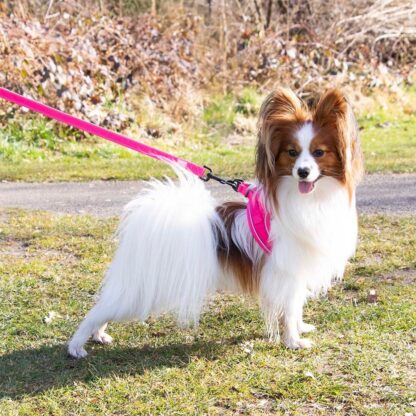 Explor Ultimate Fit Harnas Small Breed - Afbeelding 3