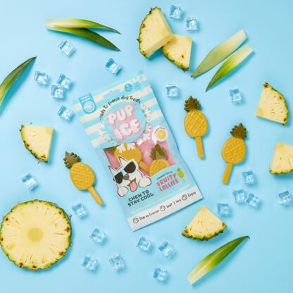 Pup ice hondenijsje fruit lollie ananas pak a 3 stuks - Afbeelding 2