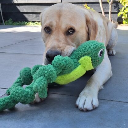 Kong Knots Frog Large/ Extra large - Afbeelding 2