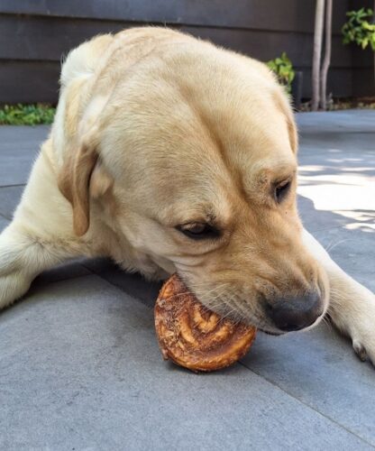 Zeeuwse Bolus voor de Hond - Afbeelding 2
