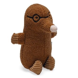 Beeztees Mol Elis Teddy  Bruin
