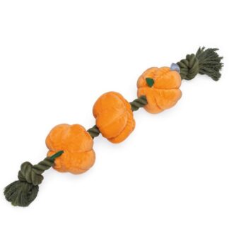 Beeztees Touw met Pompoenen