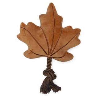 Beeztees Blad met Touw