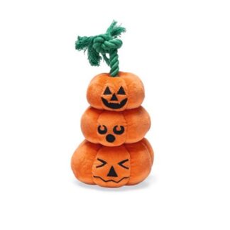 Halloween Pompoenen met Touw