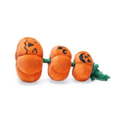 Halloween Pompoenen met Touw - Afbeelding 2
