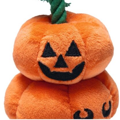 Halloween Pompoenen met Touw - Afbeelding 3