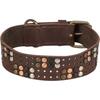 Rustic Vetleren Halsband Bruin met Klinknagels Breed