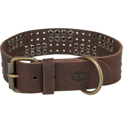 Rustic Vetleren Halsband Bruin met Klinknagels Breed - Afbeelding 2