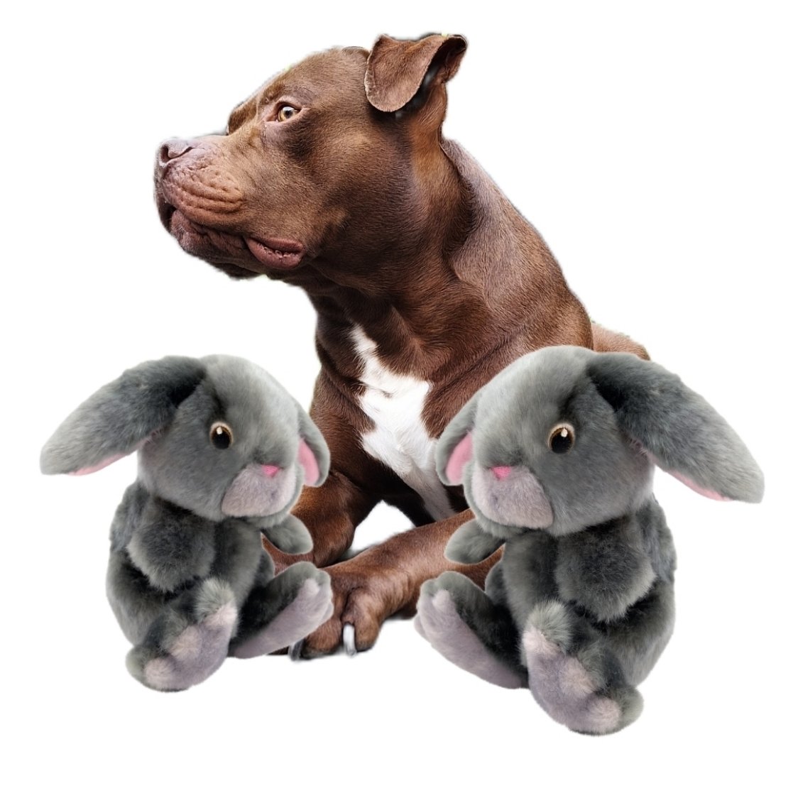 Kong Toughz Bunny Medium - Afbeelding 2