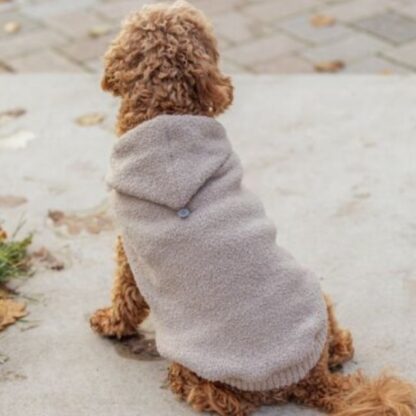 Hoodie Carson Zand - Afbeelding 3