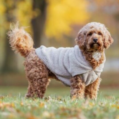 Hoodie Carson Zand - Afbeelding 2