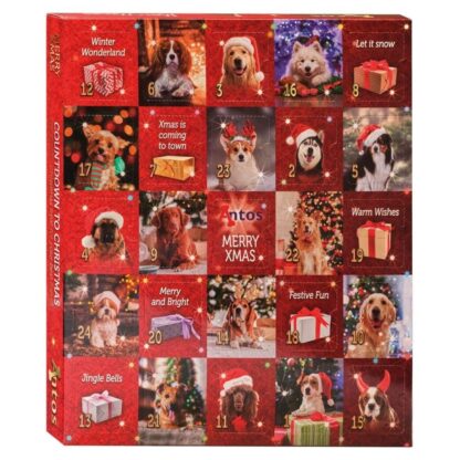 Antos Adventskalender  Hond