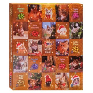 Antos Adventskalender Kat