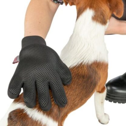 Massage & Glans Handschoen - Afbeelding 2