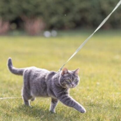 Trixie Kattentuigen Div Kleuren - Afbeelding 2