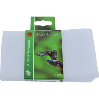 Algenreinigingsspons