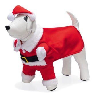 Kerstmanpak Hond