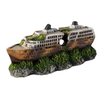 Mini Cruiseship