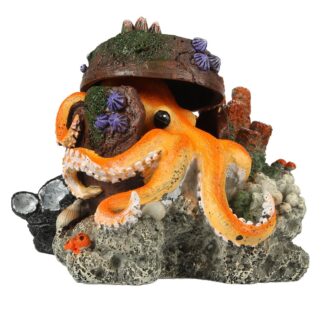Verdwaalde Octopus