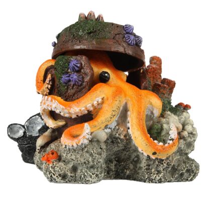 Verdwaalde Octopus