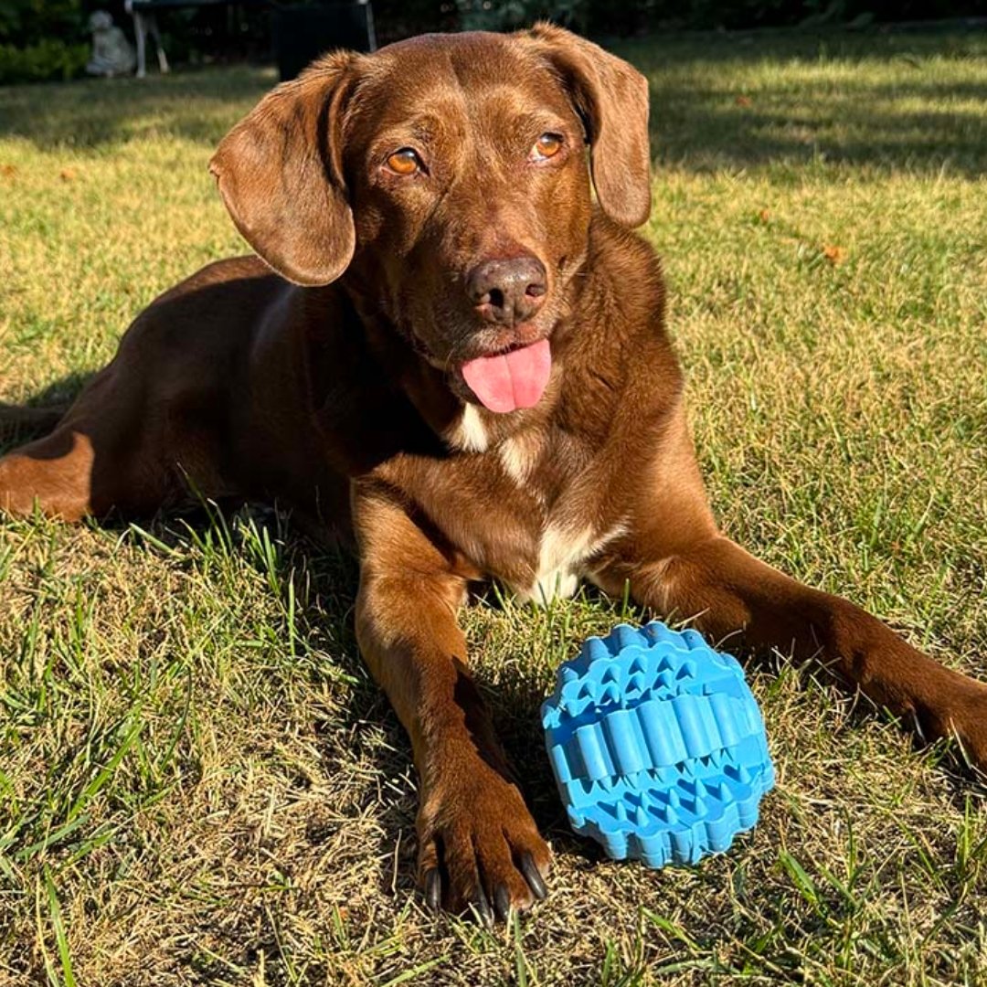 Bal Griplay dental ribbel Blauw - Afbeelding 4