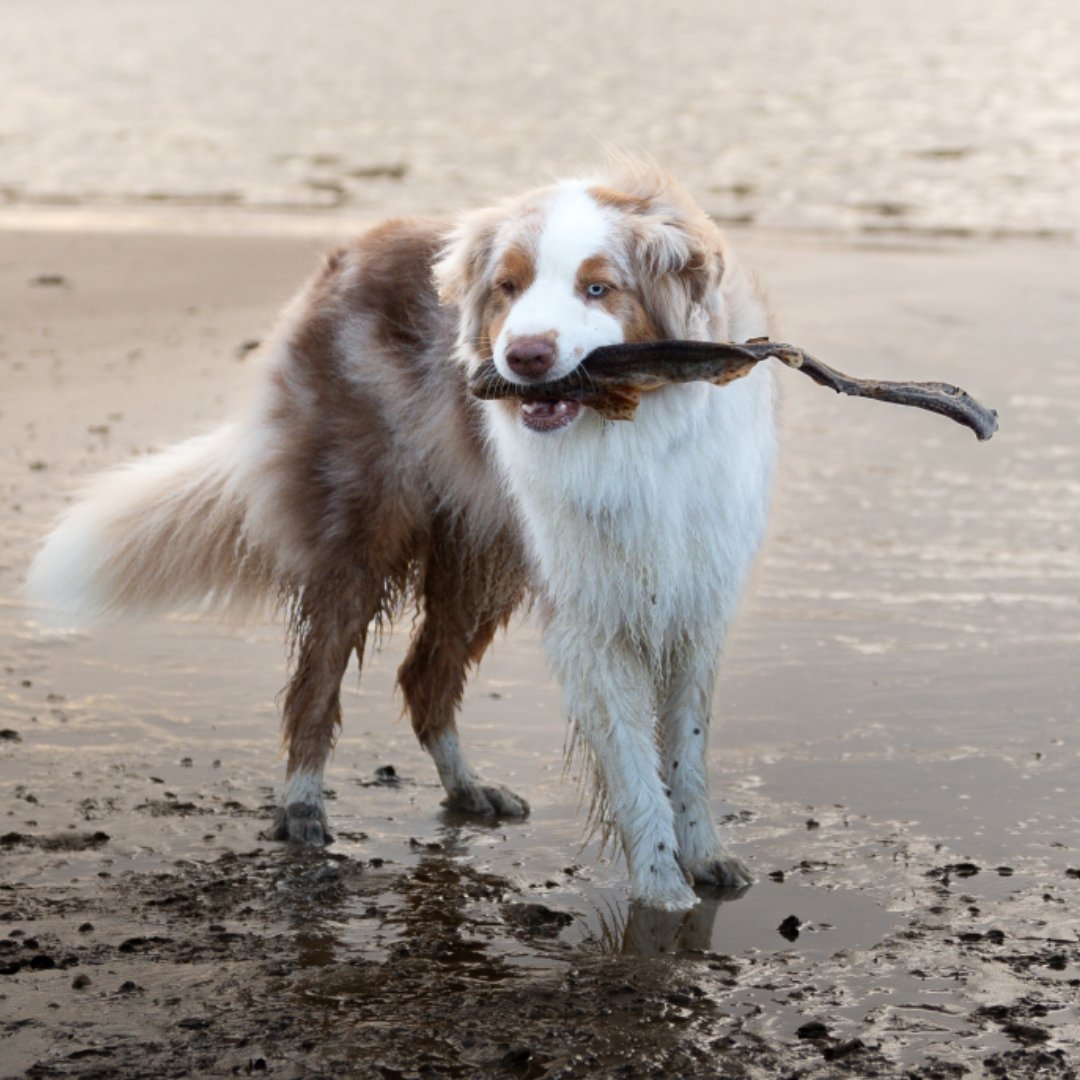 Riverwood Fisherman's Kathaai - Afbeelding 2