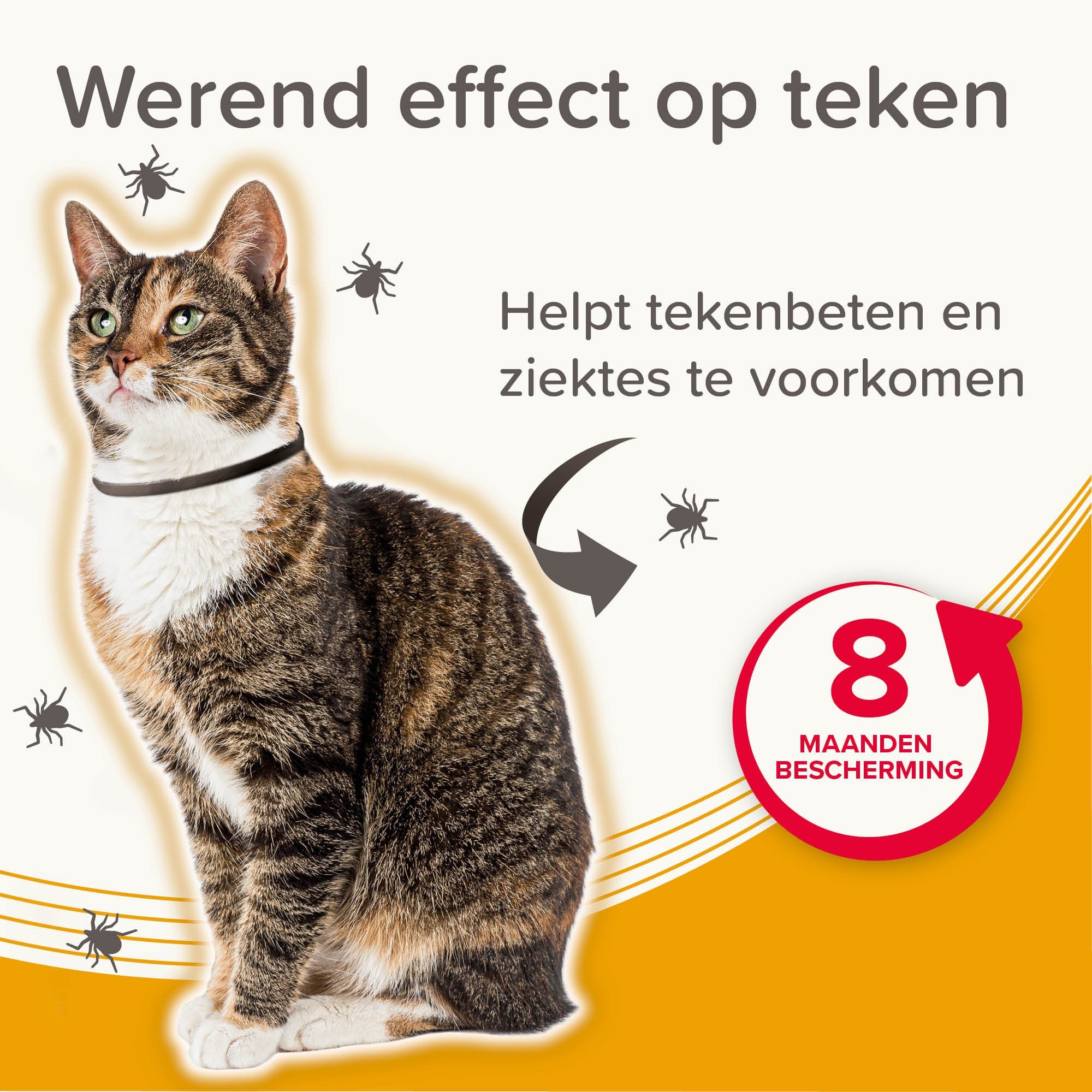 Beaphar Medicinale Halsband Kat 1st - Afbeelding 5