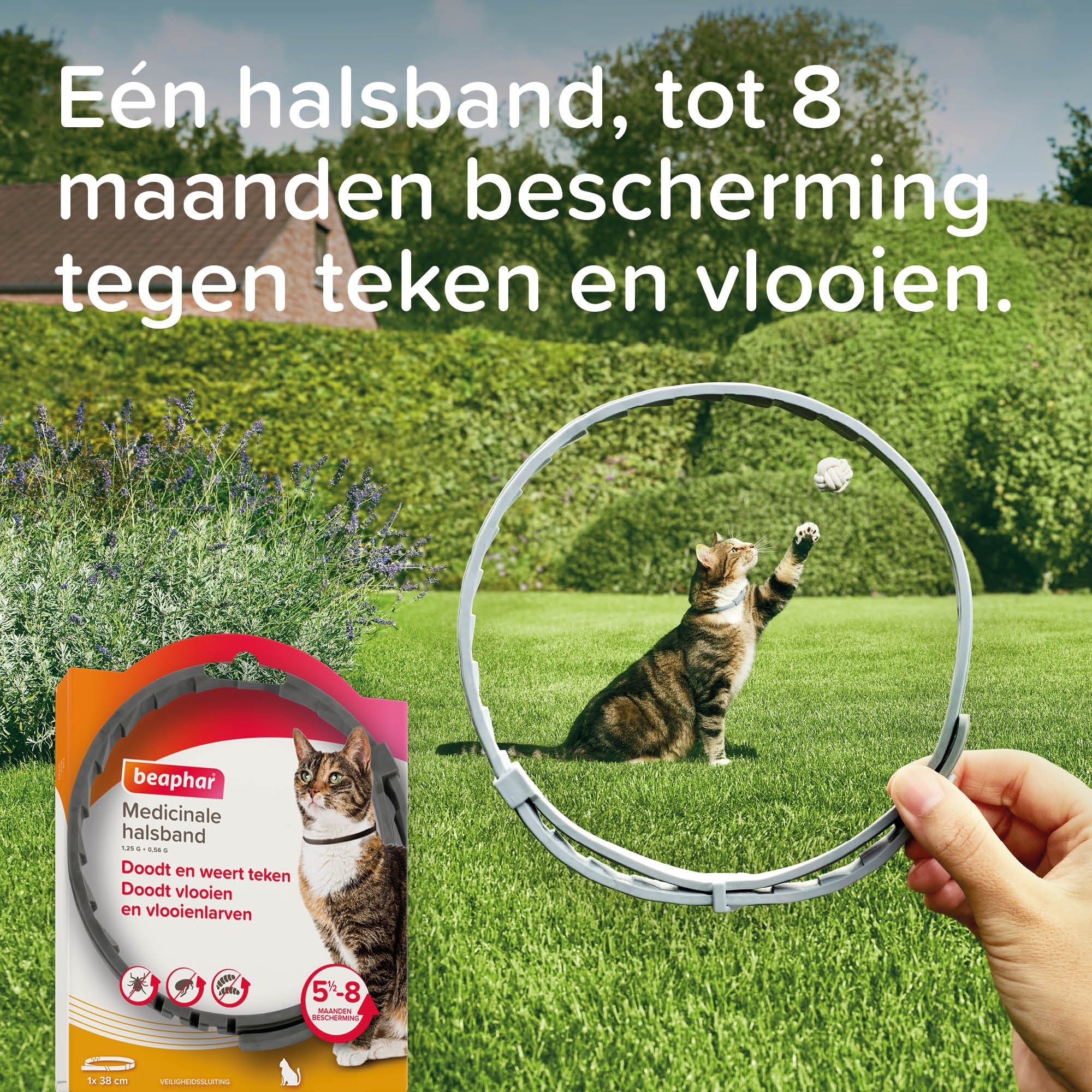 Beaphar Medicinale Halsband Kat 1st - Afbeelding 3