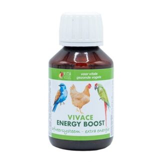 Energy Boost Vivace